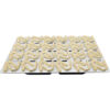 Magna Dental Model 3D Resin - Image 2